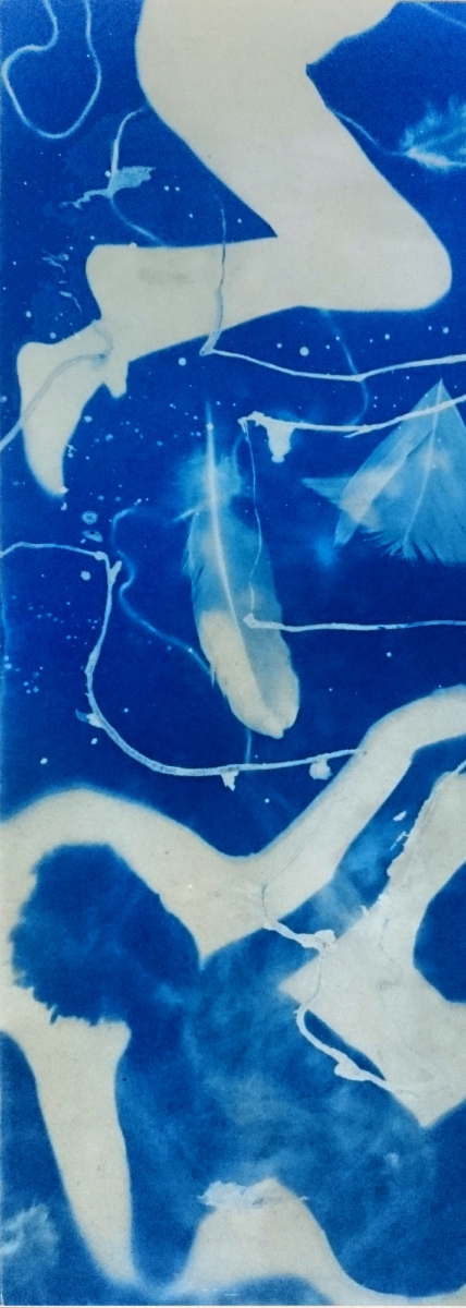 cyanotype